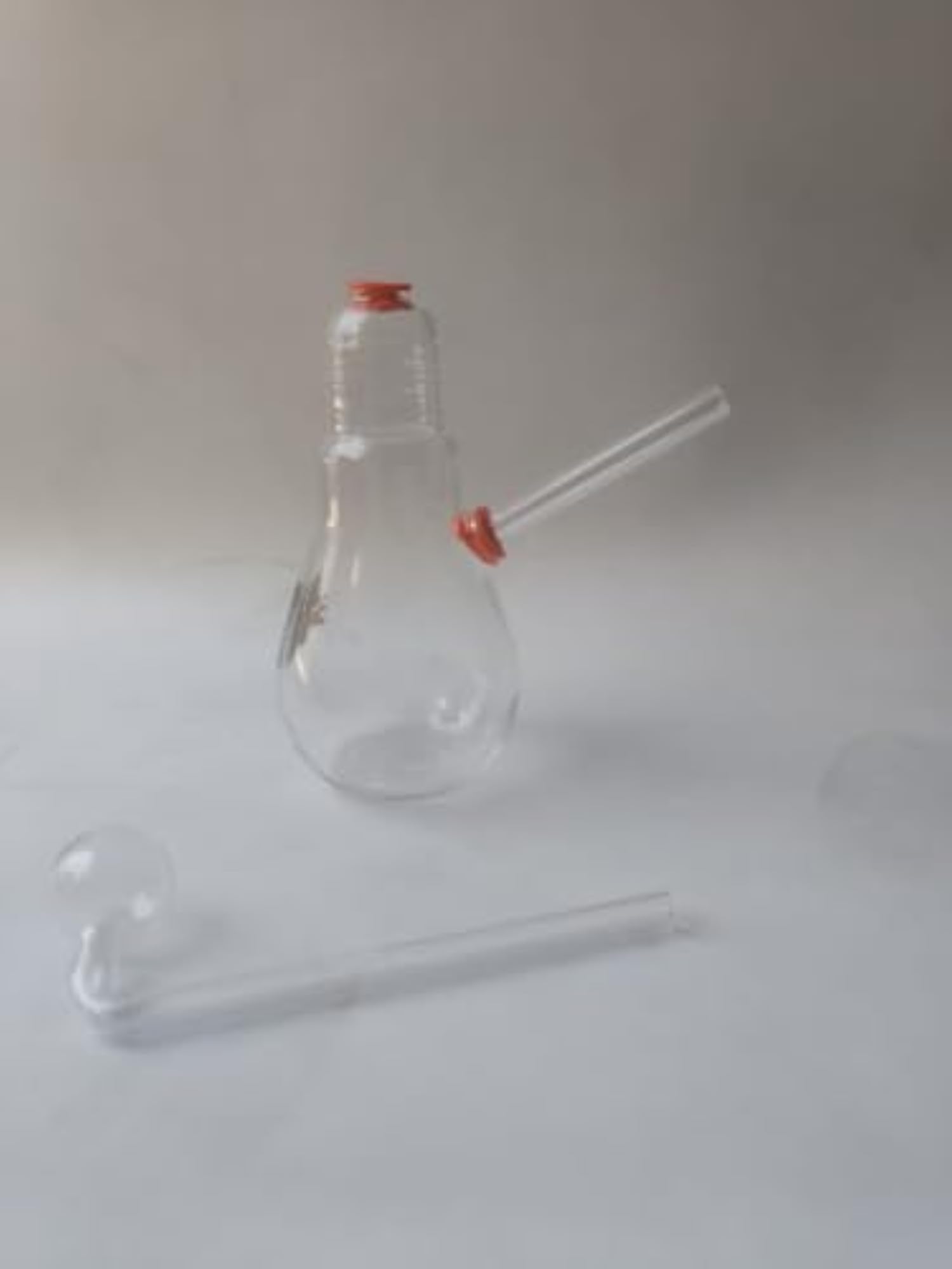 Bulb Snowper, Color 2