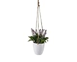 Decoris Künstlicher Lavendel 20cm weißen Hängetopf - Kunstpflanze Lavendelpflanze - hängende Topfpflanze als Frühlingsdeko Osterdeko Sommerdeko - Lila Grün