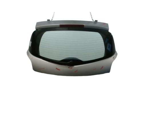 Hayon RENAULT Clio 2i Phase 1 2005-2009 Réf 7751478020