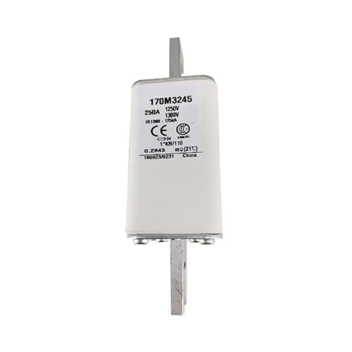 AQNERHXZ 170M3245 170M3243 Low Voltage Fast Fuse Components(170M3243)