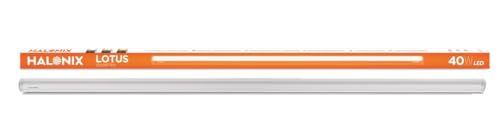Image of Halonix 40W Led Batten /Led Tubelight | 4-ft LED Batten for Living Room & Bedroom | Cool White light| Pack of 1