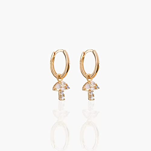 Boucle d'oreille en argent femme des bijoux élégants pour le quotidien