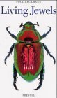 Living Jewels: The Natural Design of Beetles