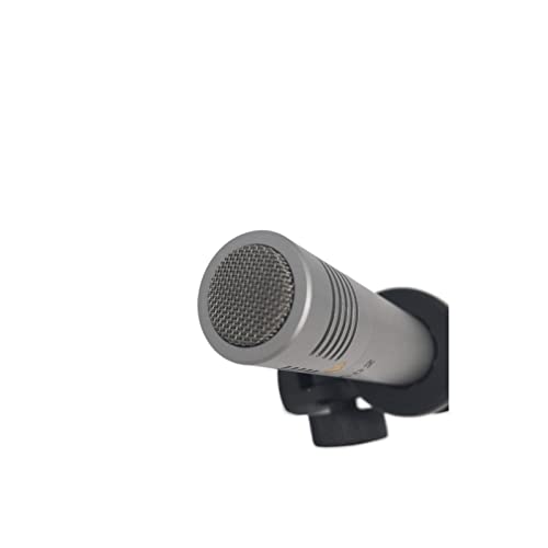 Microphone de studio C02 idéal pour streaming live et doublage voix de qualité