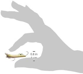 Miniatura 3 de Jackson()   43mm 3g