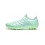 Mint Green Mint Green