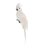 JOINPAYA