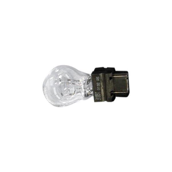 Amazon.com: Mopar L0003057 - Halogen Bulb (3057) : Automotive