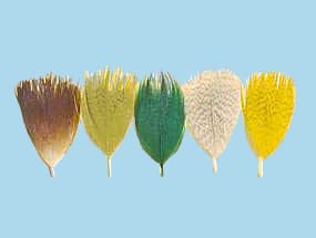 Turrall Fly Tying Mallard Breast 50 per Pack (average) Brown