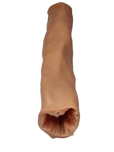 Caliber Simulators Large Intestine Replica (Thick) for Suturing & Anastomosis, Silicone & Rubber Composites Human Bowels, Designed & Made in India