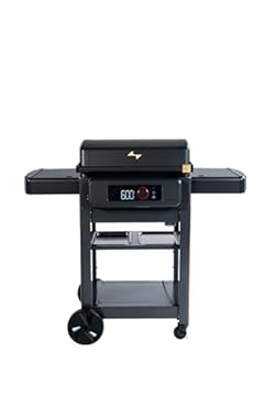 best outdoor electric flat top grill