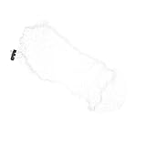 LIOOBO 魚の飛び出し防止になナイロン製防逃ネット 耐久性 耐摩耗性に 水槽保護カバー 小魚やカメの脱走防止用メッシュ網 細かいメッシュ構造で 管理