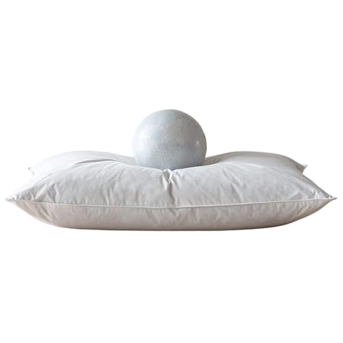 Set 2 Almohadas de grano de trigo sarraceno 20x26 cm firmes