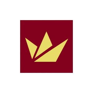 Premiumshop321 Kinder Bademantel Twin-Star mit Kapuze für Mädchen und Jungen kiwi-116