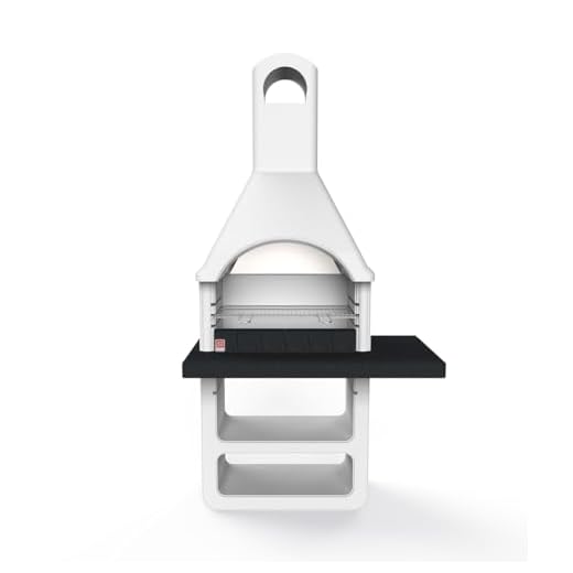 Barbceue in muratura Vicenza - legna e carbonella