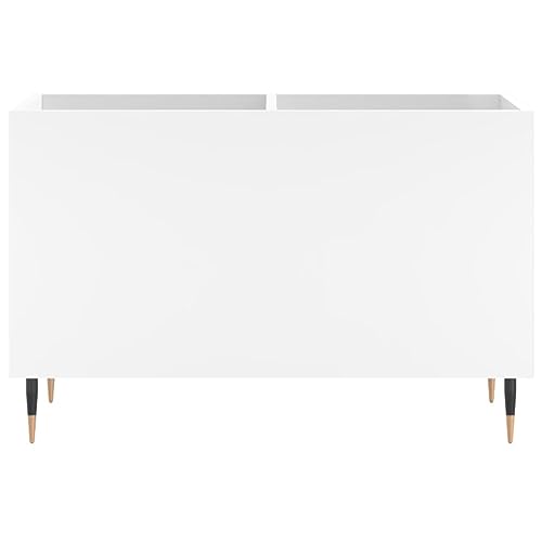 Meuble vinyle industriel blanc pour protéger vos disques LP