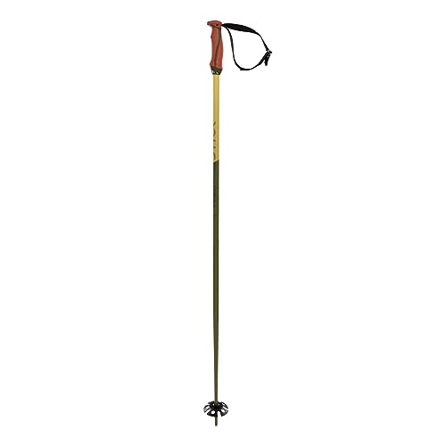 Bâtons de ski Völkl Phantastick 18mm verts pour homme