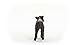 SCHLEICH 13969 Galloway Kalb, ab 3 Jahren, Farm World - Spielfigur, 3 x 8 x 6 cm