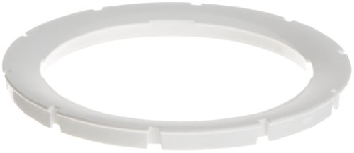 Pentair 619601 White Face Ring Assembly Replacement AquaLumin III Pool and Spa Light