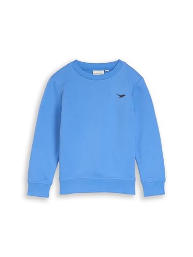 TOM TAILOR Jungen 1049302 Sweatshirt, 37177-Soft Mid Blue, 104-110