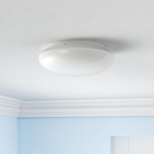 Energizer 58823-T1 Led Ceiling Light Fixture, Battery Operated thumb #1