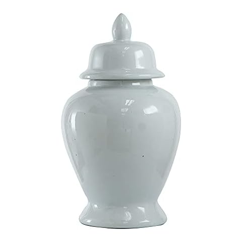 A&B Home Ginger Jar, 10 by 17-Inch Cover