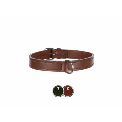 TRIXIE Active Halsband Leder Größe M: Halsumfang 39–46 cm/22 mm in schwarz - stilvolles Lederhalsband für mittelgroße Hunde, genäht und unterfüttert, 18251