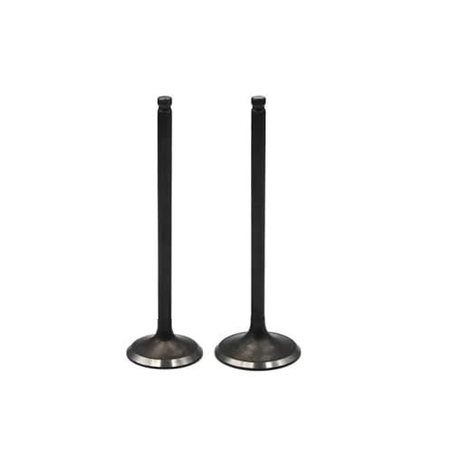 Válvulas de admisión y escape de alta resistencia térmica para LT-F400F y LT-F500F