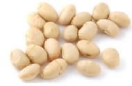 Soya Nuts Dry Roasted No Salt -26Lbs