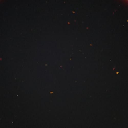 Cajun Injector 22174.01601 Creole Garlic Marinade