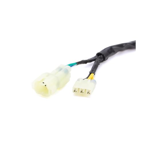 Bobine de stator TRX250 robuste avec isolation renforcée - 2