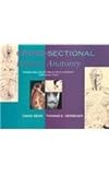 Cross-Sectional Human Anatomy