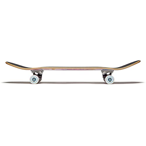 Image of [CCS] Skateboard Complete | Maple Wood | Professional Grade | Fully Assembled with Skate Tool & Stickers | Adults, Kids, Teens, Youth | Boys & Girls