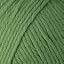 9751 Grass