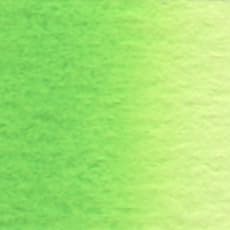 Holbein Watercolour : 5ml Tube CADMIUM GREEN PALE - Image 2