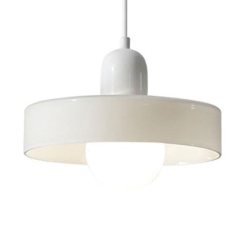 G9 Light Source Single-Head Hanging Light,Minimalist Creative Glass Pendant Lamp,Nordic Personality Chandelier,Bedroom Corridor Restaurant Decorative Lighting Fixtures