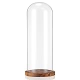 AceOrbit 16 Inch Glass Dome Cloche Display with Wood Base, Clear Tall Glass Dome, the Bell Jar Clear Cloche for Plants, Curios, Keepsakes, Heirlooms