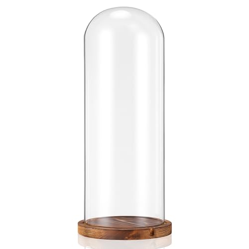 AceOrbit 16 Inch Glass Dome Cloche Display with Wood Base, Clear Tall Glass Dome, the Bell Jar Clear Cloche for Plants, Curios, Keepsakes, Heirlooms