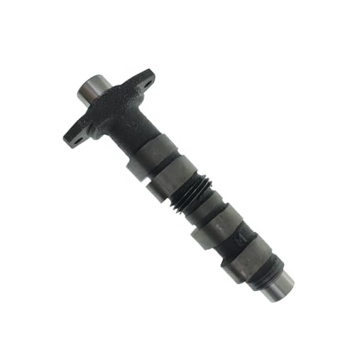 Árbol de levas de 19 mm compatible con motor XLX250 de 1984 a 2001 2