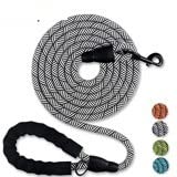TAPIVA Leashes expert tips