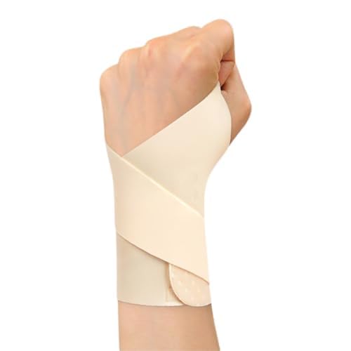  T|[^[ Œ ی T|[^[ʋC ew F≊ Œ ی yʁyd͌Œ/͒߁zی h~ pT|[^[ y z X|[c Ǝ 玙 p\R/X}z jp t[TCY(A̐F)