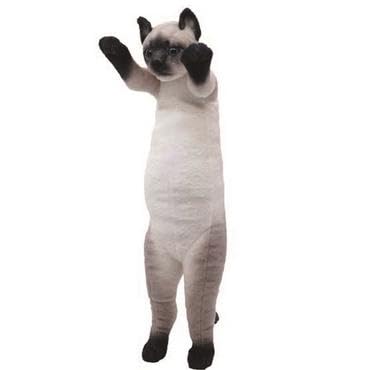 Amazon.co.jp: たっちぃZoo にゃんこ シャム猫 たっちぃZOO ねこ しゃ