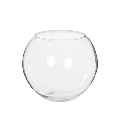 Pecera Cristal (20cm)