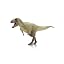 Daspletosaurus Color B