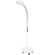 Pongnas Tattoo Lamp, LED Beauty Salon Floor Lamp, 3X Magnifying Illumination Cold Light Lamp with...