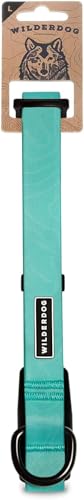 Image of Wilderdog Waterproof Dog Collar - Repels Water & Dirt - Large 17 inch-24 inch - Seafoam
