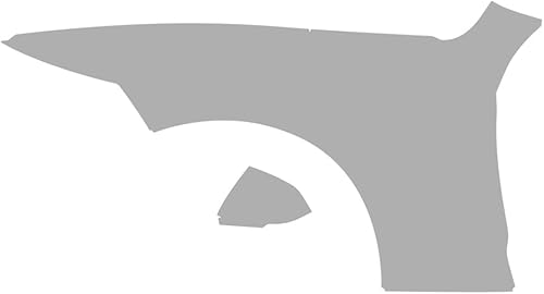 Vicrez Protección de pintura Defensasespejos precortados PPF completos, conductor vpp693 compatible con Ford Mustang Shelby GT500 2020-2022