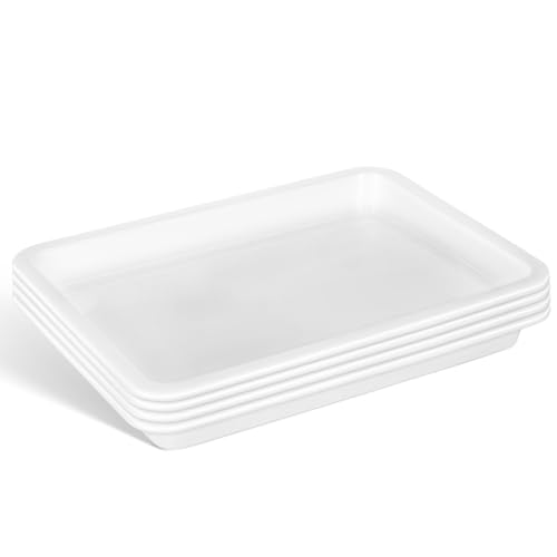 GLEAVI Lab Trays 4 Pack Acid & Alkali Resistant