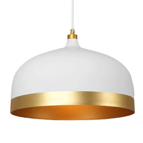 Lampe suspendue simple e27 lustre fer forgé noir de salon