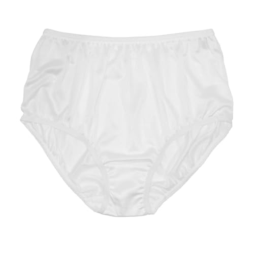 Image of Teri Women's 331 Plain Jane Classic Nylon Silky-Smooth Lightweight Breathable Full Coverage Brief Panty - 4 Pack